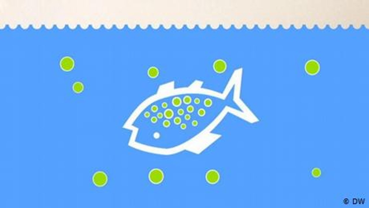 What happens to a plastic bottle?