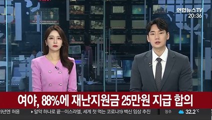 Download Video: 여야, 88%에 재난지원금 25만원 지급 합의