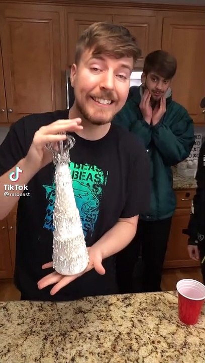 mr beast tiktok