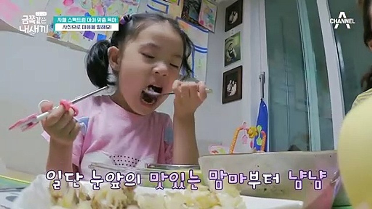 [오은영의 금쪽처방] 자폐 스펙트럼 아이 맞춤 육아! 사진으로 말해요!