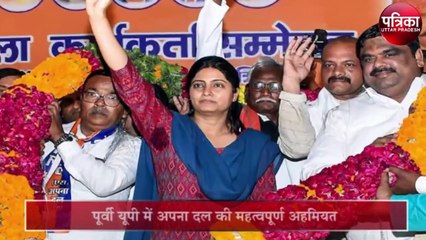 विधानसभा चुनाव के लिए 'अपना दल' के सियासी समीकरण