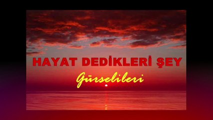Gürsel İleri - Hayat Dedikleri Şey