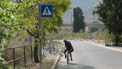 Siempre contigo - Tráiler oficial español