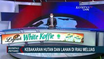 Kebakaran Hutan dan Lahan di Riau Kian Meluas