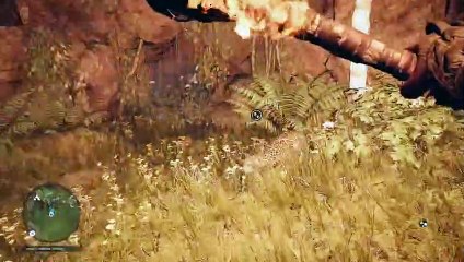 Far Cry Primal A Caverna e a Área de Gelo