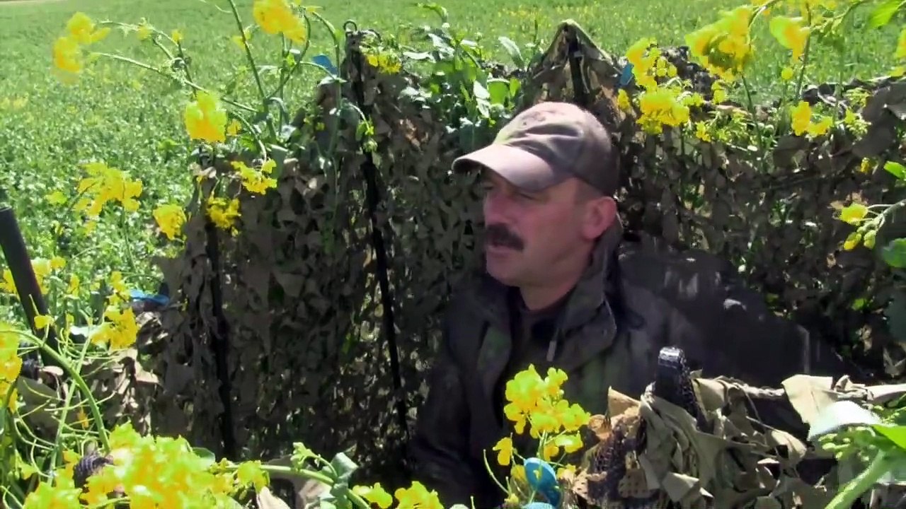 The Shooting Show oilseed pigeon decoying and the Zoli Taiga