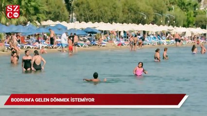 Bodrum’a geldiler, dönmek istemiyorlar