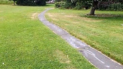 Falkirk Bellsmeadow Anti-Social Behaviour