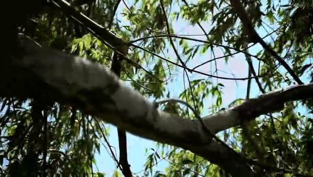 Canon 5D on DIY Camera Slider - WOW