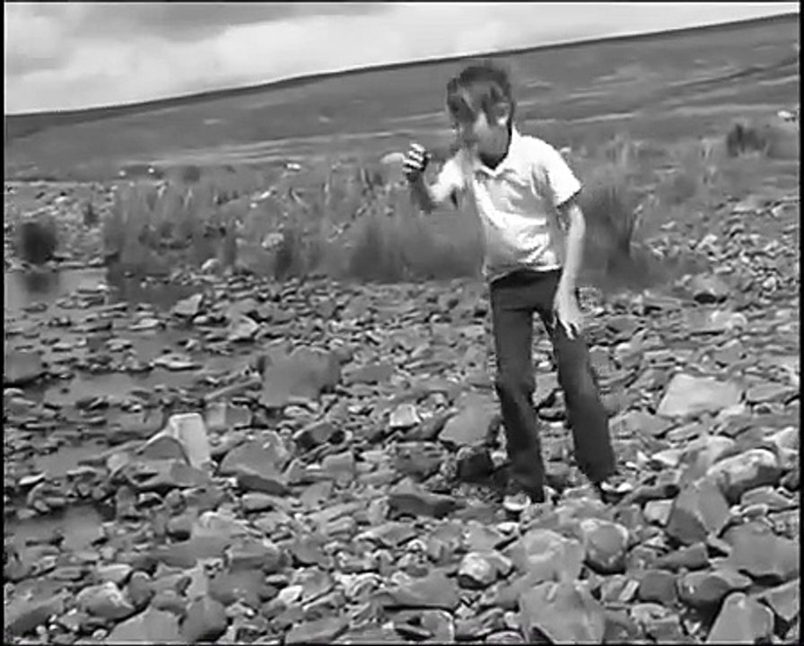 Handbags & the Gladrags - Rod Stewart