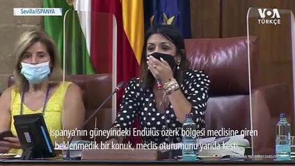 Endülüs Meclisinde Davetsiz Misafir