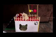 Cat House | DIY | Art and Craft  18