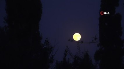 Yüksekova'da 'Süper Ay' mest etti
