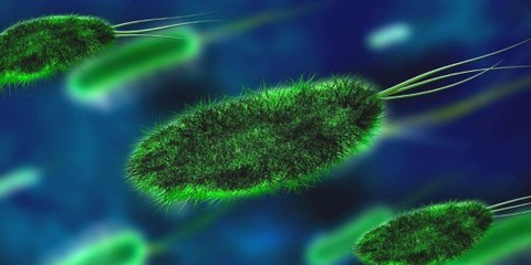¿Qué es el norovirus y por qué ha encendido las alarmas en el Reino Unido?