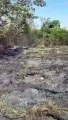 Polícia Ambiental combatem incêndio florestal no Parque Nacional de Ilha Grande