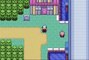 Pokemon Emerald Walkthrough Bonus Trick House Challenge #1 (2)