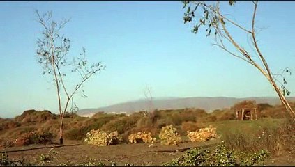 SILVESTRISMO,CAPTURA DE JILGUEROS AL PASO(19-10- 09).