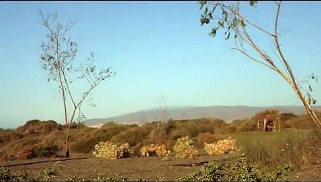 SILVESTRISMO,CAPTURA DE JILGUEROS AL PASO(19-10- 09).