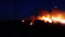 MUĞLA - Bodrum'da makilik alanda çıkan yangın söndürüldü