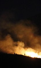 Bodrum'da makilik alanda çıkan yangın söndürüldü