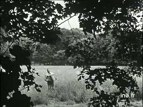 Françoise Hardy Tous les garçons et les filles | Archive INA