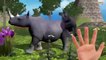 Colores Elefante Vs Gorila Dedo de la Familia Rimas   3D de Colores Para los Niños   3D de dibujos animados de Mal