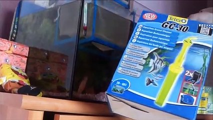 Nettoyage  entretien d'un aquarium