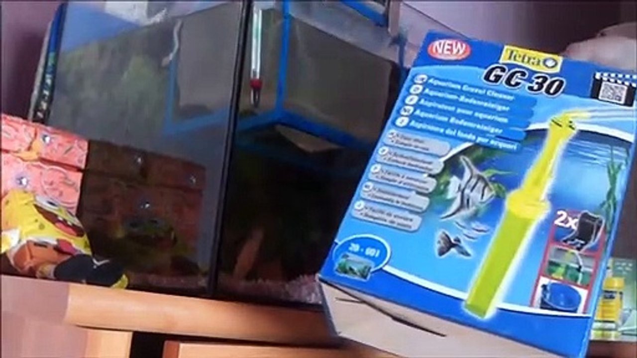 Nettoyage  entretien d'un aquarium