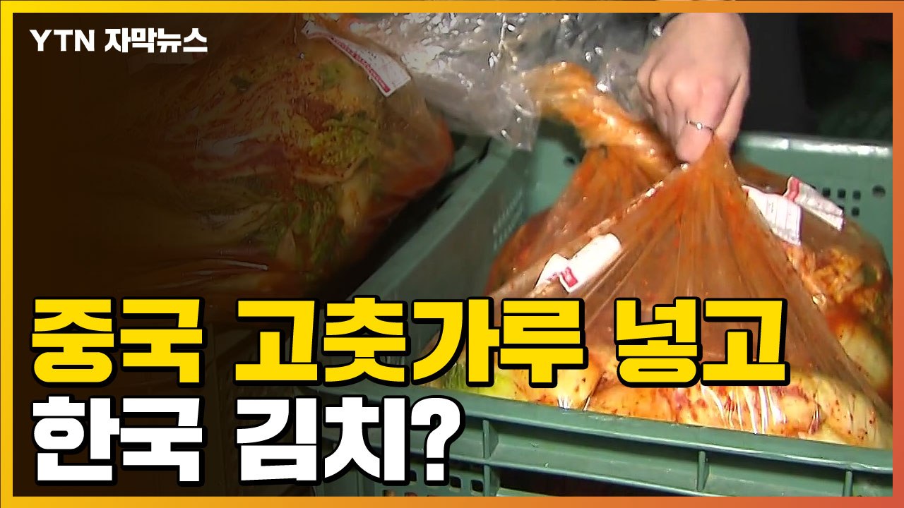 [자막뉴스] 이렇게 해도 한국 김치?...팽팽한 논란 / YTN