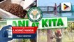 ANI AT KITA | Tugon ng Department of Agriculture sa sitwasyon ng Malagos Agri-ventures Corporation ngayong panahon ng pandemya