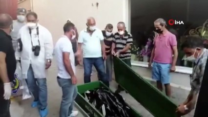 Yaşlı çift evlerinde ölü olarak bulundu