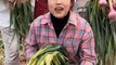 People's life, eating fruit, beautiful fruit garden (Fruit, vegetable garden).#99