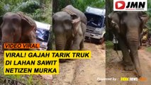 REPORTASE - VIRAL! GAJAH TARIK TRUK DI LAHAN SAWIT, NETIZEN MURKA