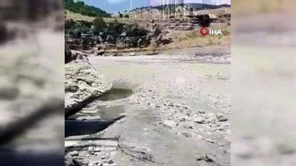 Kulp Çayı kurudu, binlerce balık telef oldu