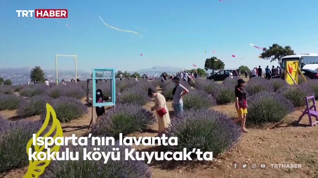 Isparta'nın lavanta kokulu köyünde uçurtma şenliği