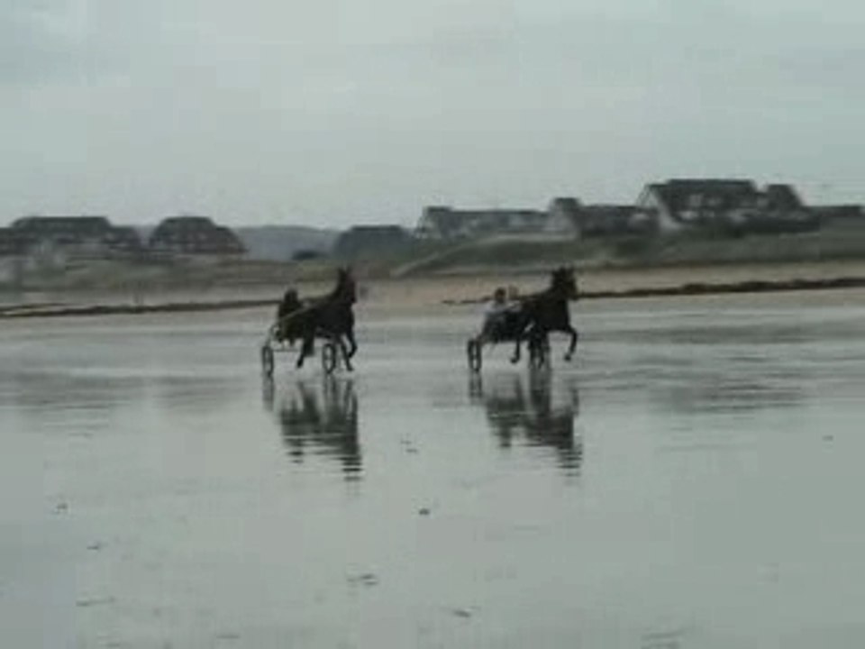 Trot attelé  sur la plage de cabourg