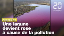 Argentine : Une lagune en Patagonie devient rose à cause de la pollution