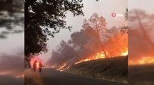 ABD'nin California eyaletindeki orman yangını günlerdir sürüyor