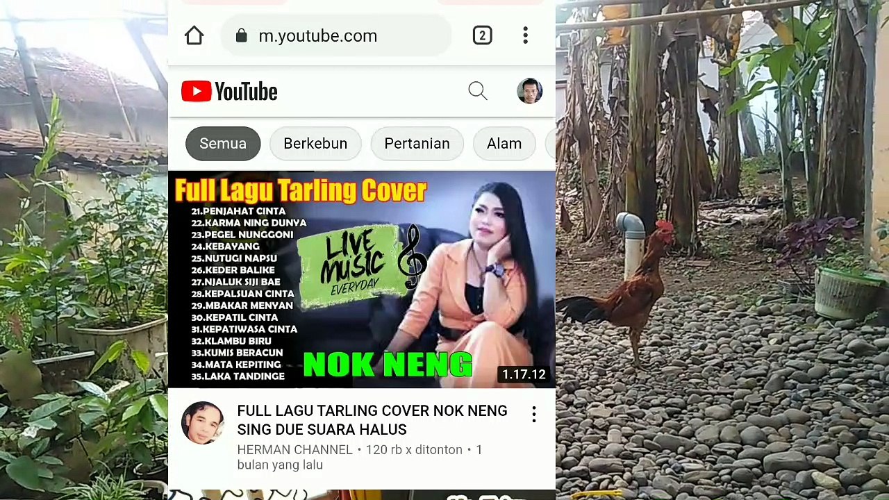 Cara sembunyikan jumlah subscriber youtube