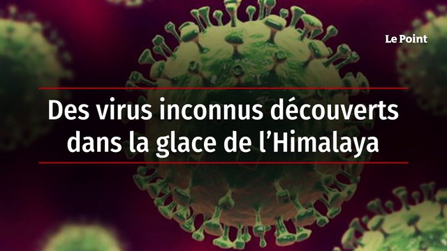 Des virus inconnus découverts dans la glace de l’Himalaya