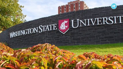 वैज्ञानिकों के लिए रहस्य बने हुए हैं ये काले कीड़े, क्या यही हैं ग्लेशियर पिघलने का कारण_