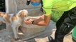 Trafik polisinden yüreklere dokunan hareket... Susayan köpeğe elleriyle su içirdi