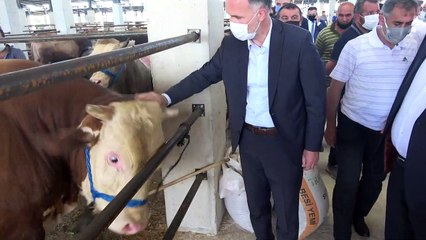 Modern hayvan pazarı ilk bayramda yüzleri güldürdü