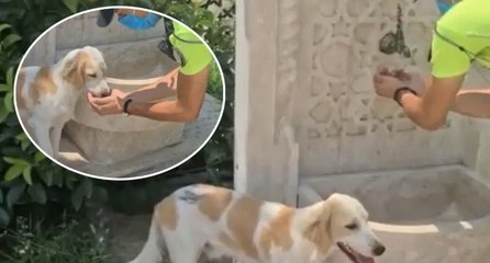 Sosyal medya o trafik polislerini konuşuyor