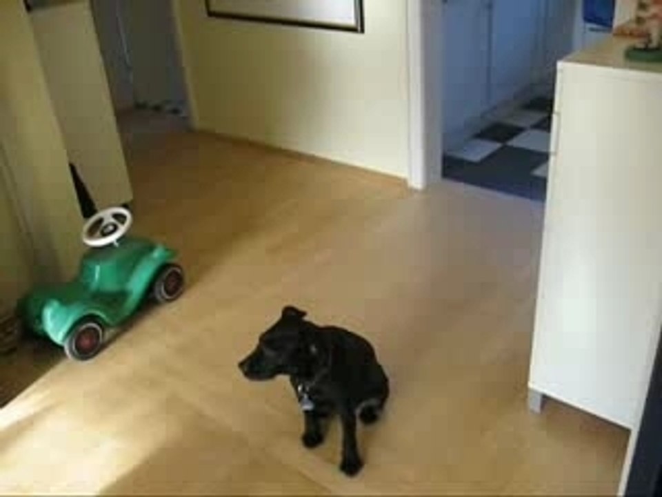 Real Ghost Footage. Close Up - Then Disappear!