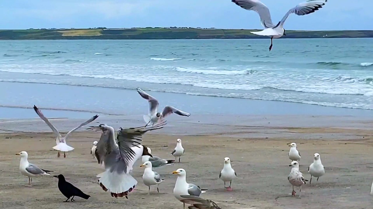 Ocean Waves Nature Sounds Relaxation Meditation Sleep