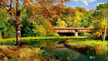 Sen Beni Taşıyamazsın Aşkım--Seslendiren--Video --Aynur AVCI