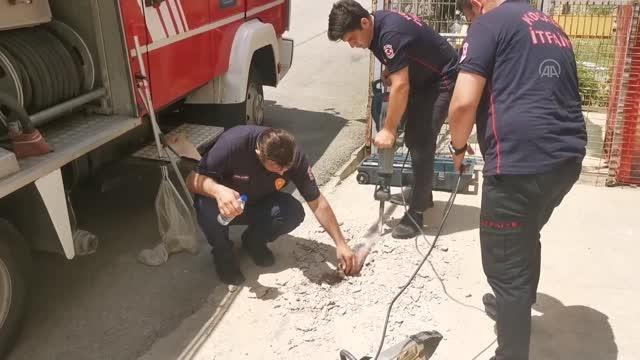 Kafası demir boruya sıkışan kediyi itfaiye kurtardı
