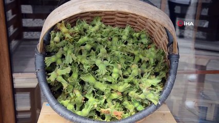 Ordulu ev hanımları kendi ürettikleri yöresel ürünleri satmaya başladı