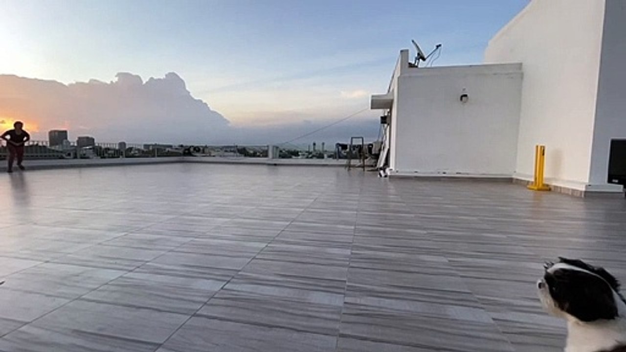 Keerthy Suresh Cute video | Keerthy Suresh playing cricket | Actress funny video | Celebrities video | Viral videos